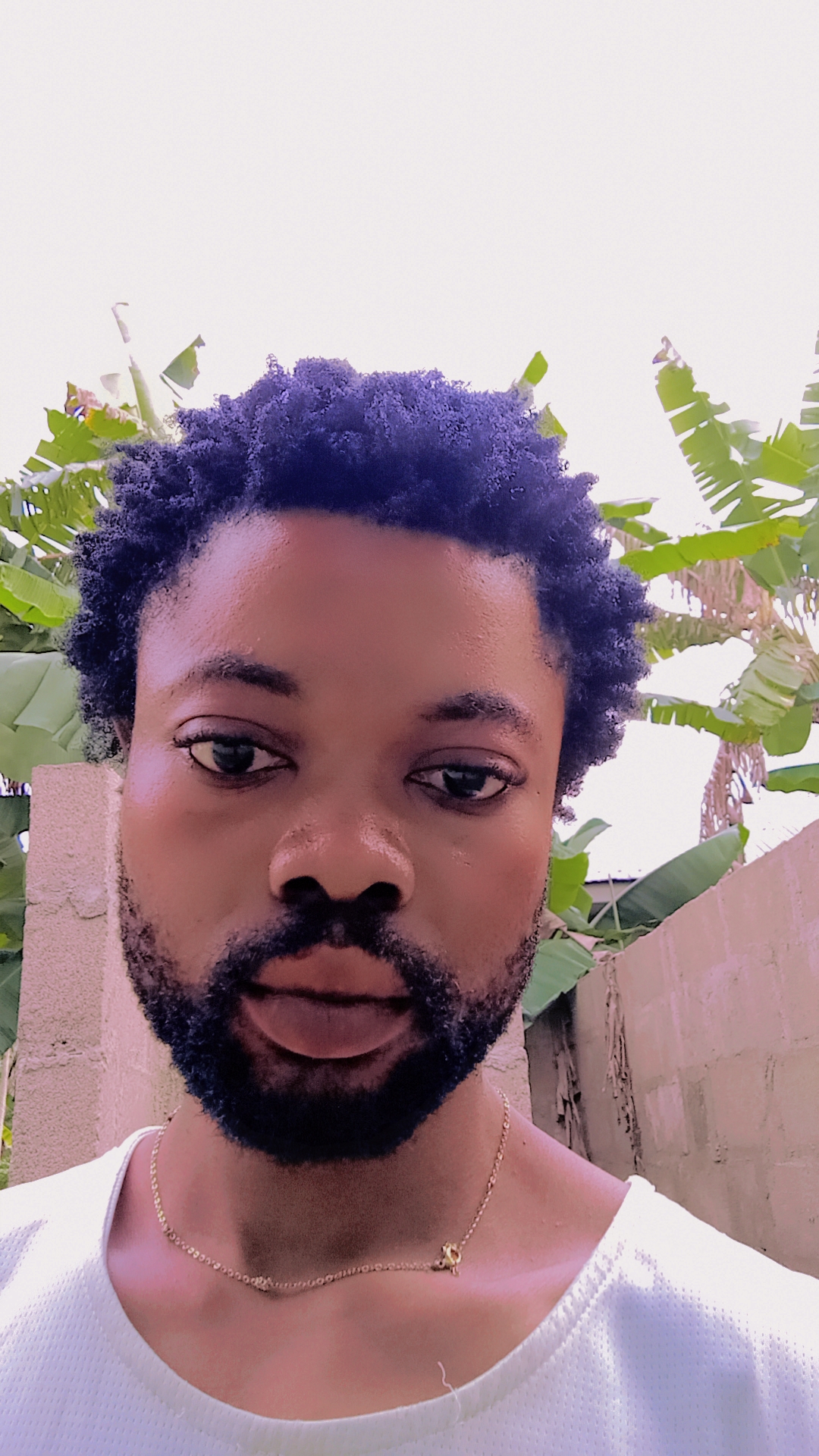 Promise pureheart  anyiam